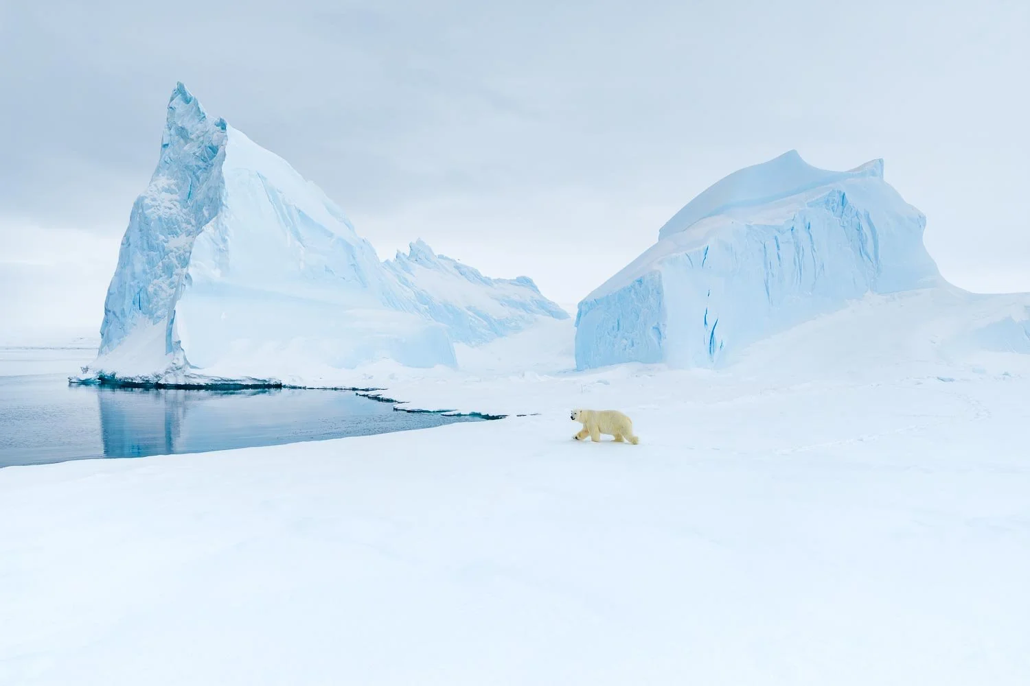Greenland_StefanForster18.jpg