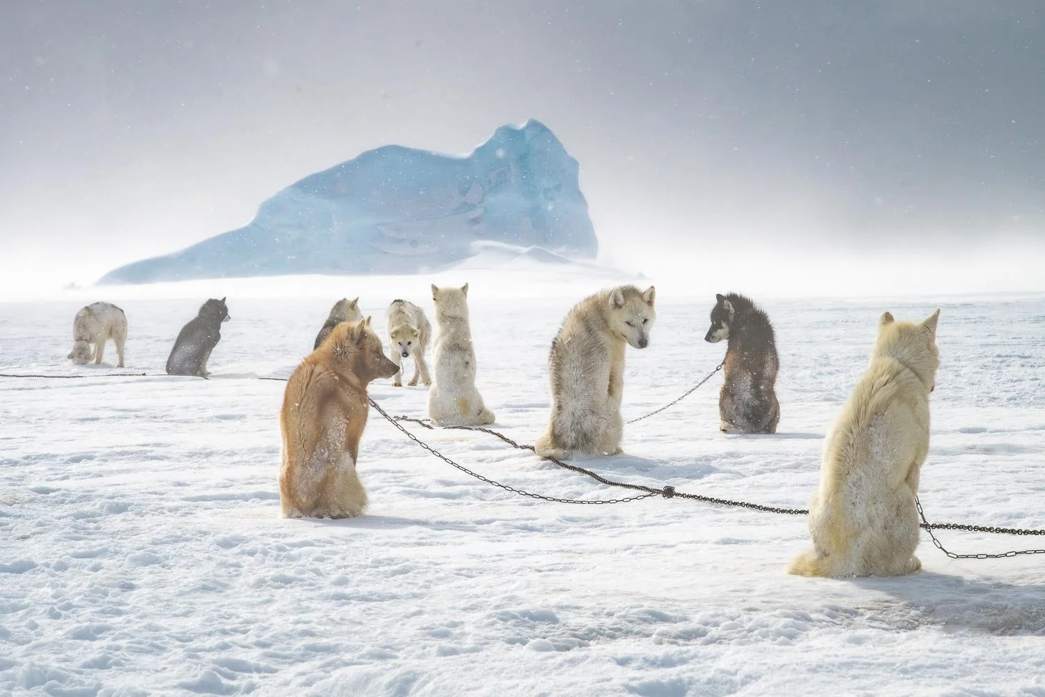 Greenland_StefanForster10.jpg