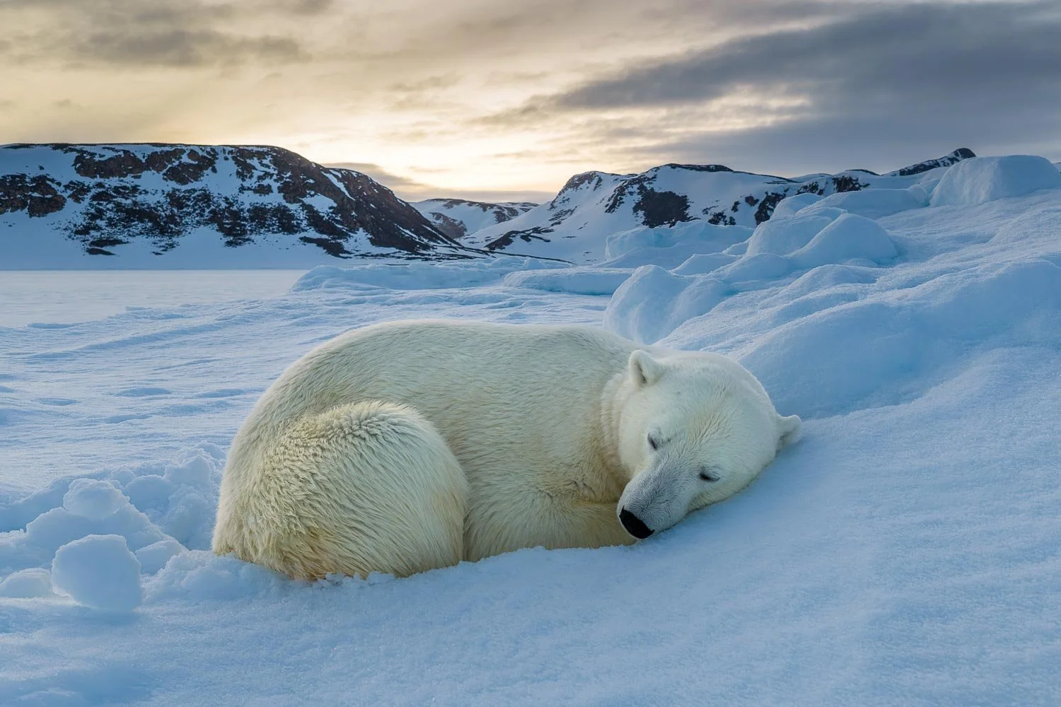 Greenland_StefanForster15.jpg