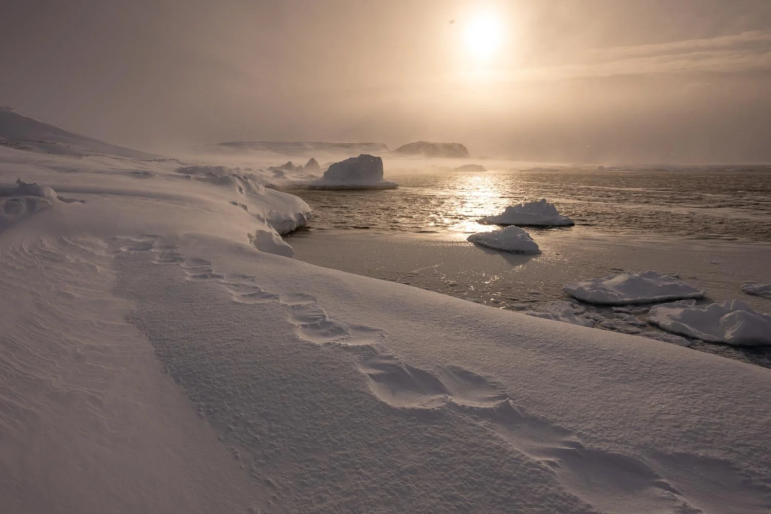 Greenland_StefanForster7.jpg