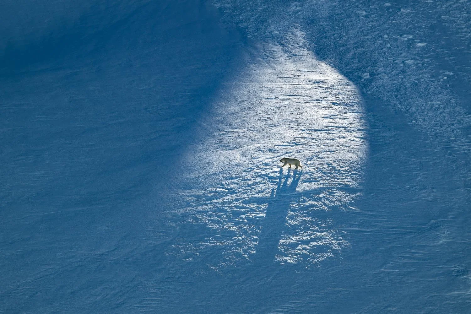 Greenland_StefanForster2.jpg