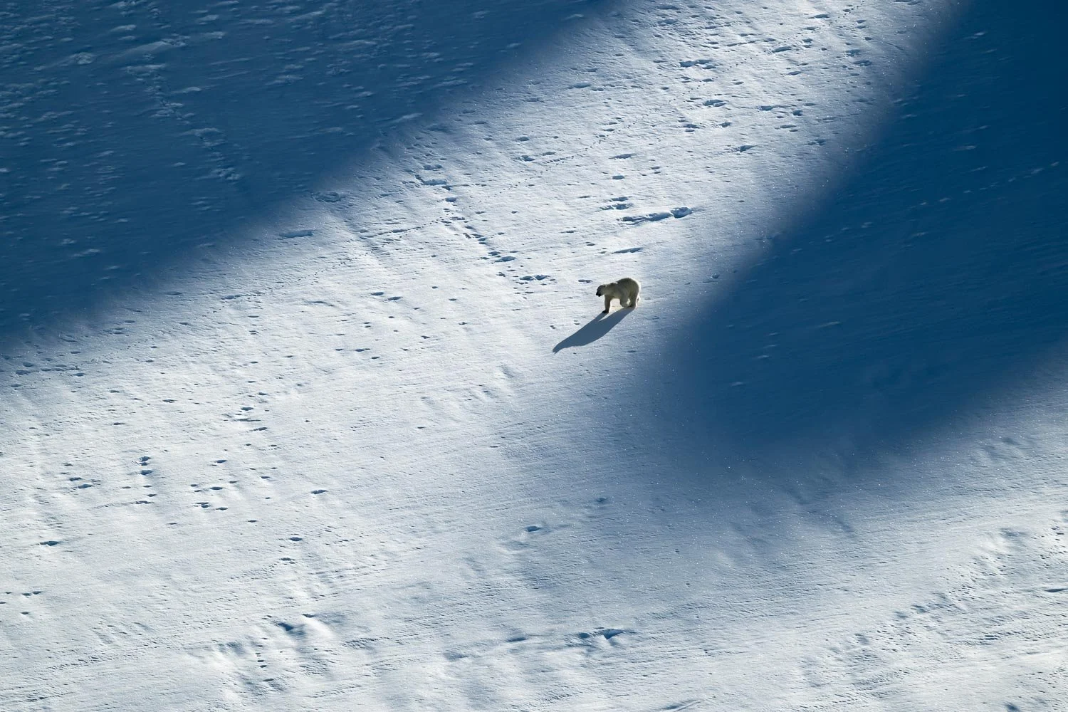 Greenland_StefanForster3.jpg