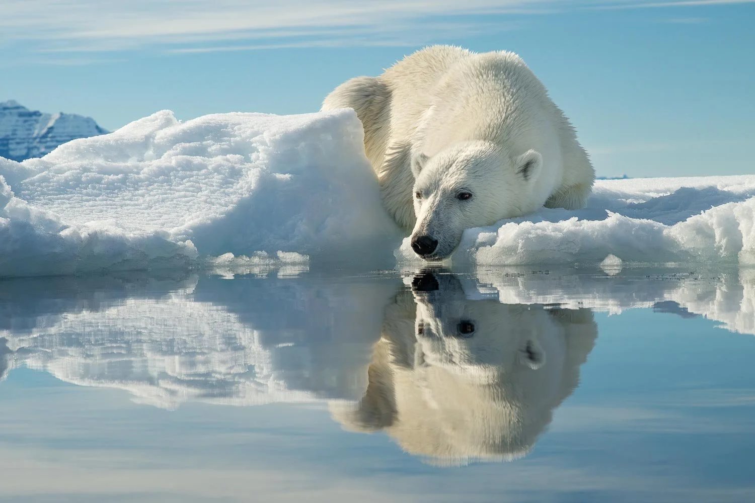 Greenland_StefanForster4.jpg