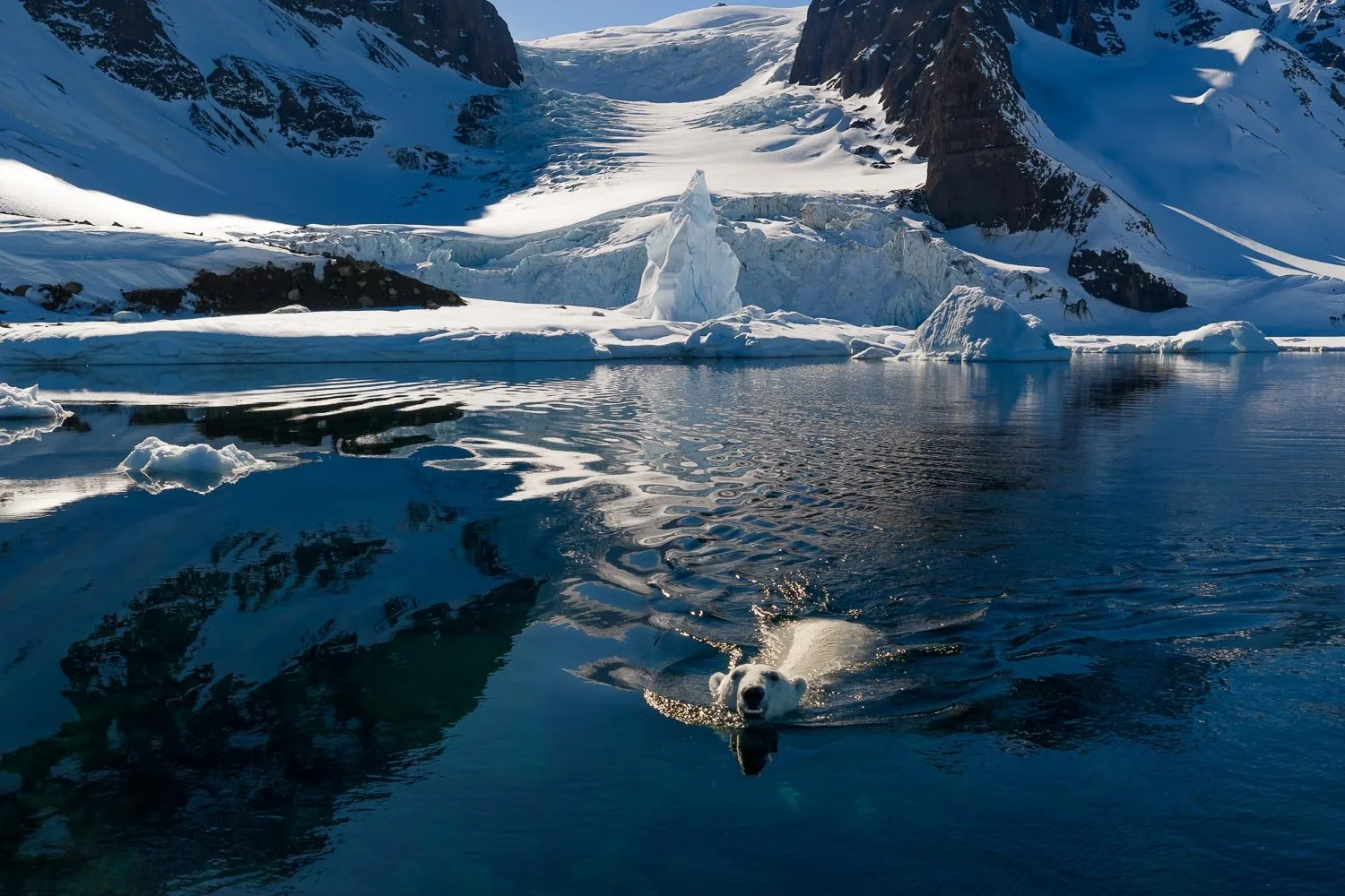 Greenland_StefanForster13.jpg