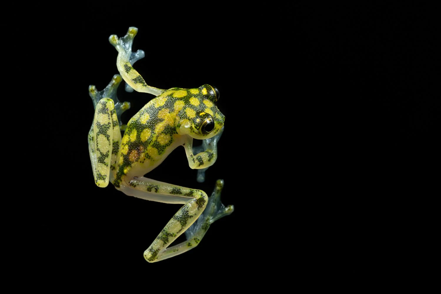 CostaRica_StefanForster_202610.jpg