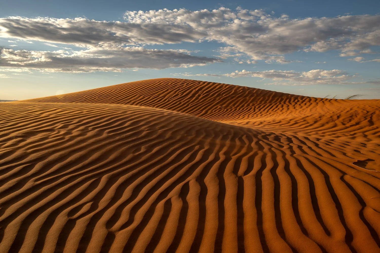 Namibia_StefanForster_2026_13.jpg