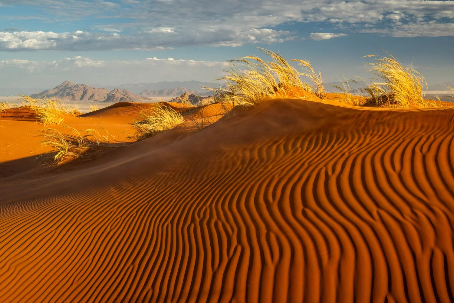Namibia_StefanForster_2026_12.jpg