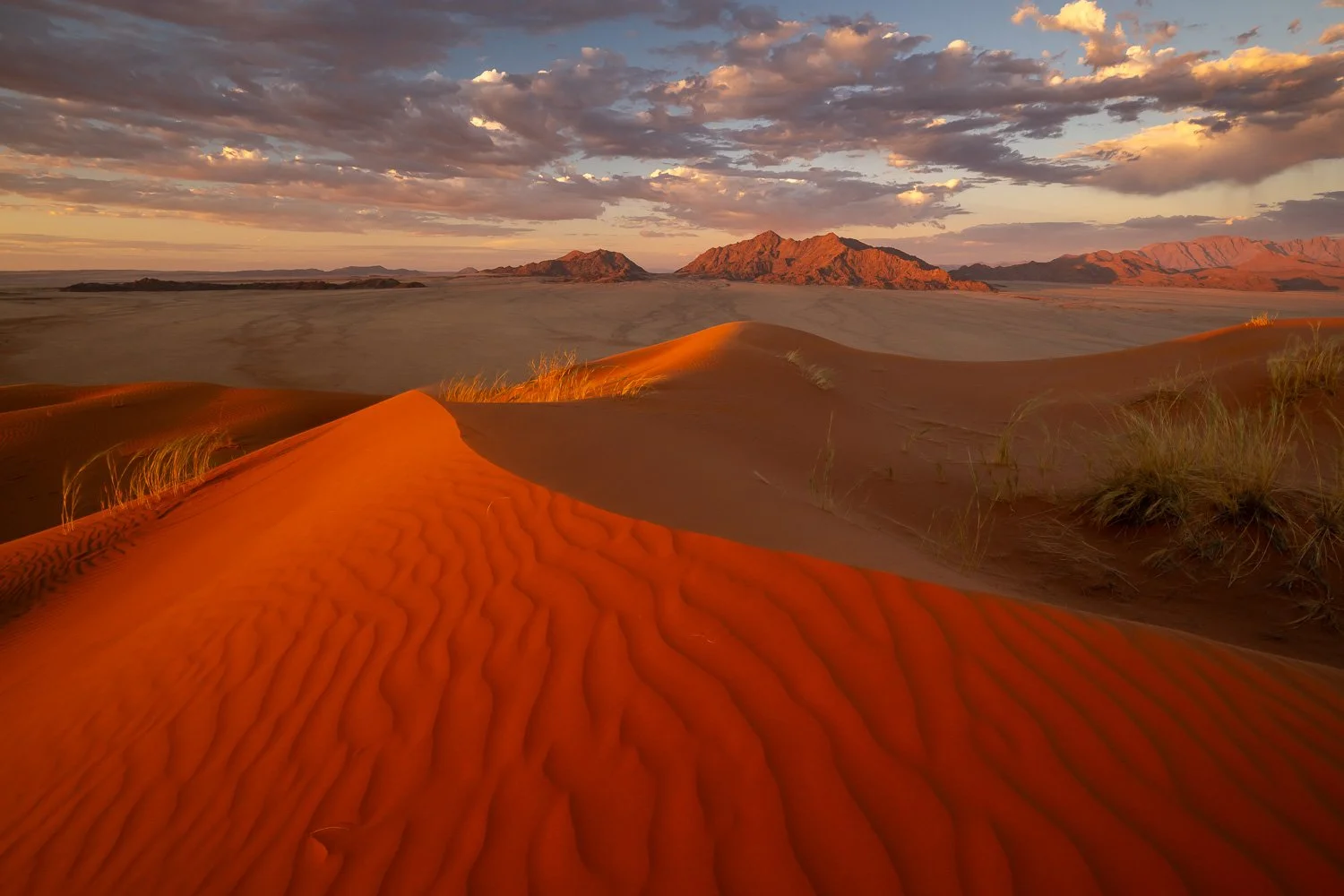 Namibia_StefanForster_2026_14.jpg