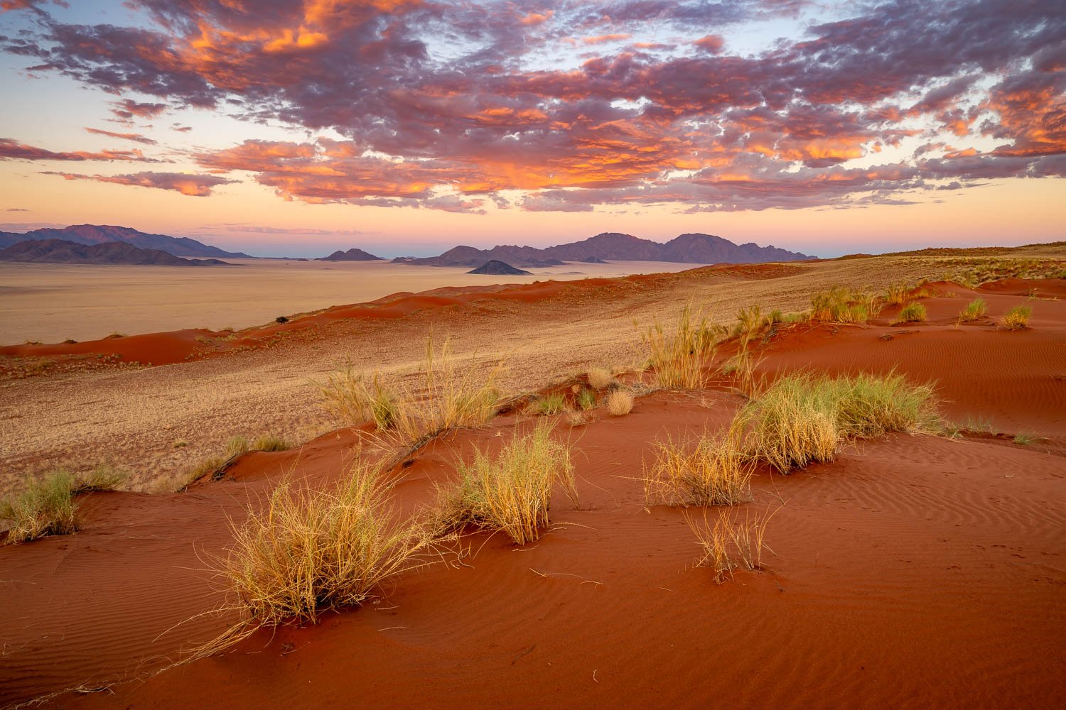 Namibia_StefanForster_2026_11.jpg