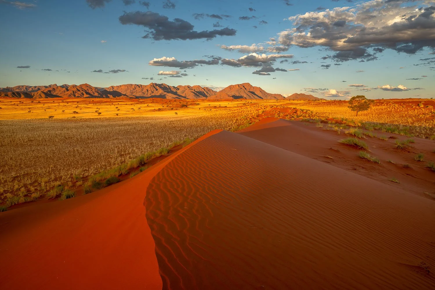 Namibia_StefanForster_2026_6.jpg