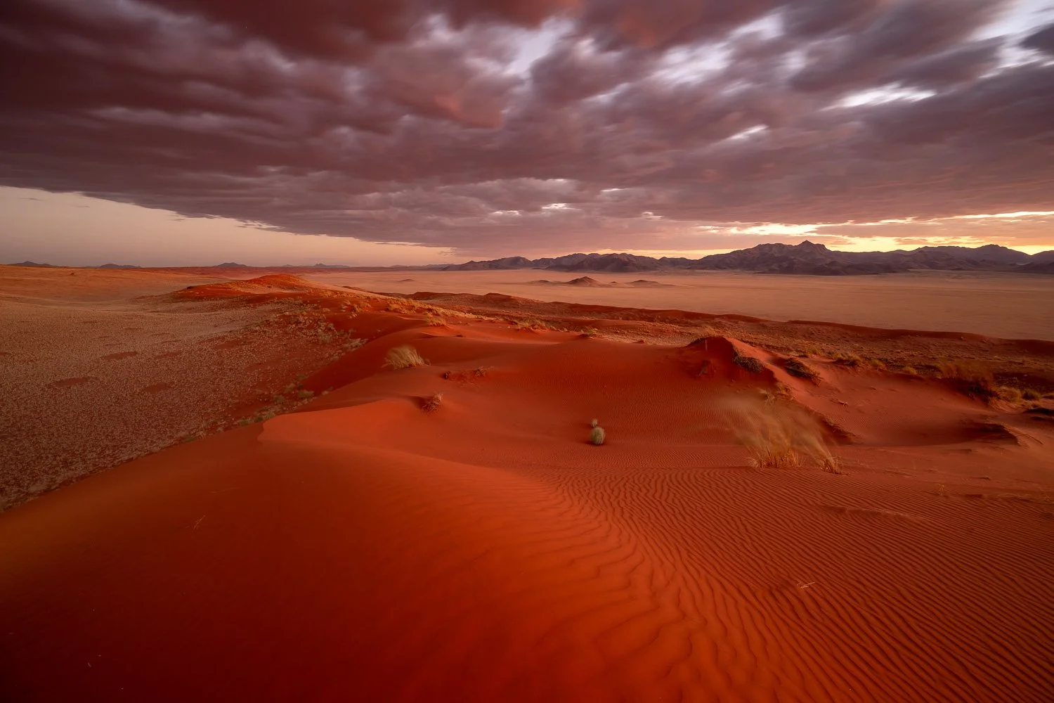 Namibia_StefanForster_2026_10.jpg