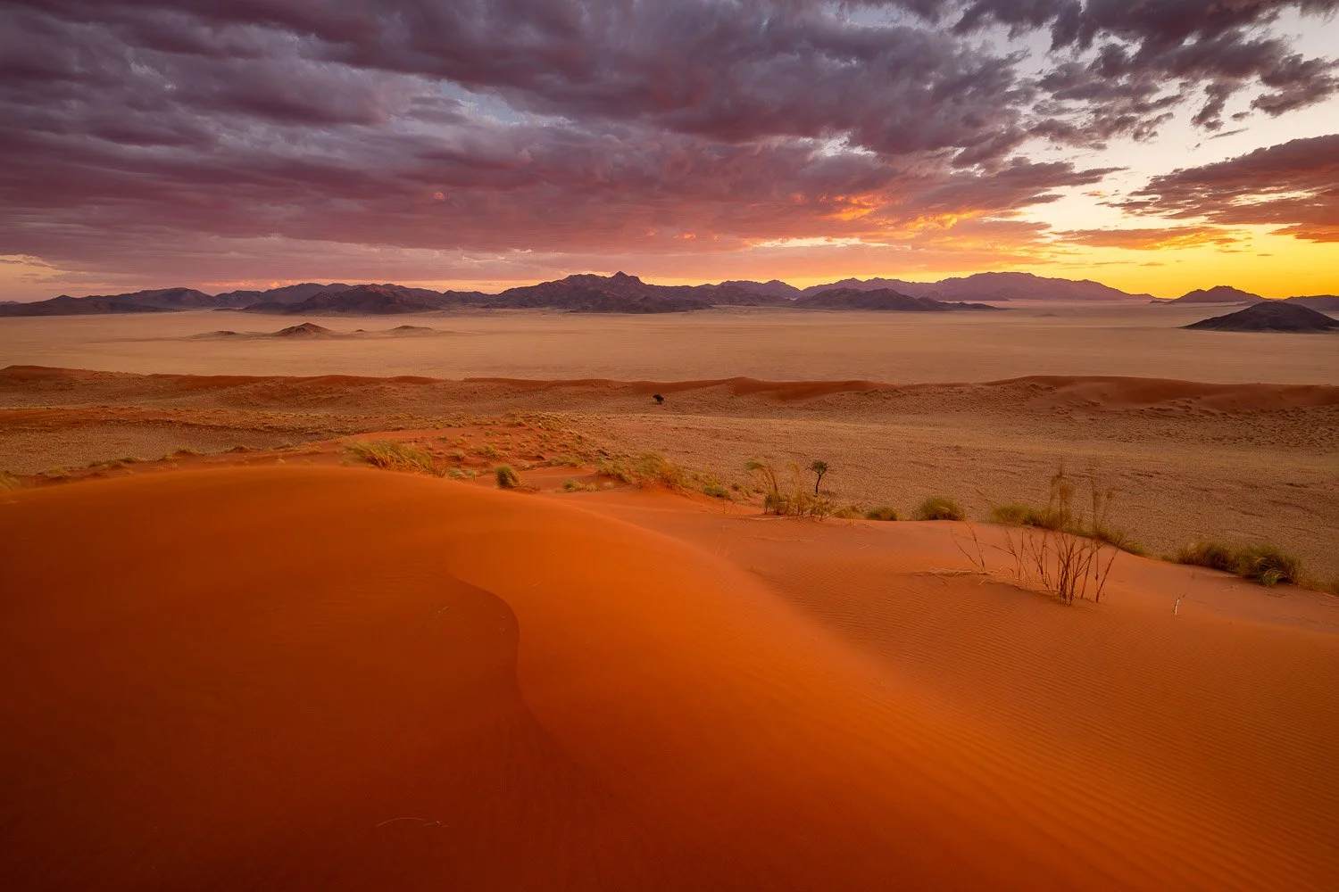 Namibia_StefanForster_2026_9.jpg