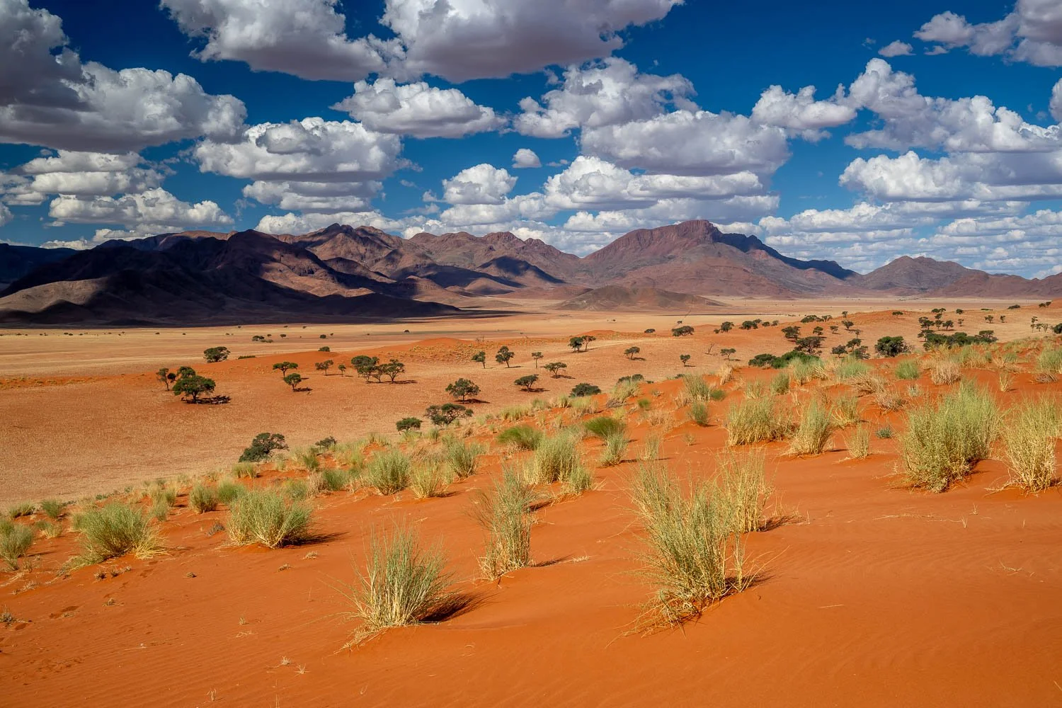 Namibia_StefanForster_2026_5.jpg