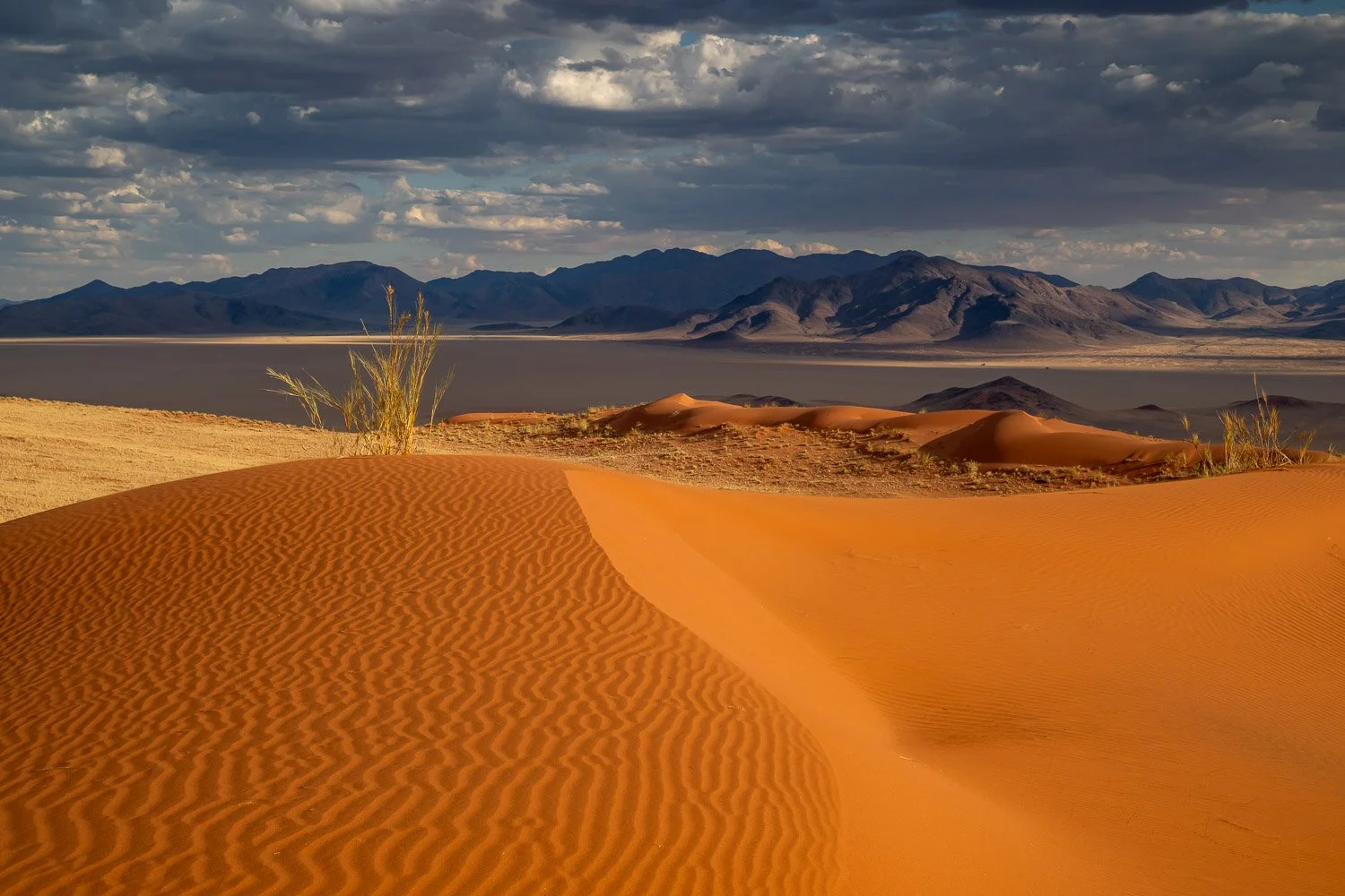 Namibia_StefanForster_2026_4.jpg