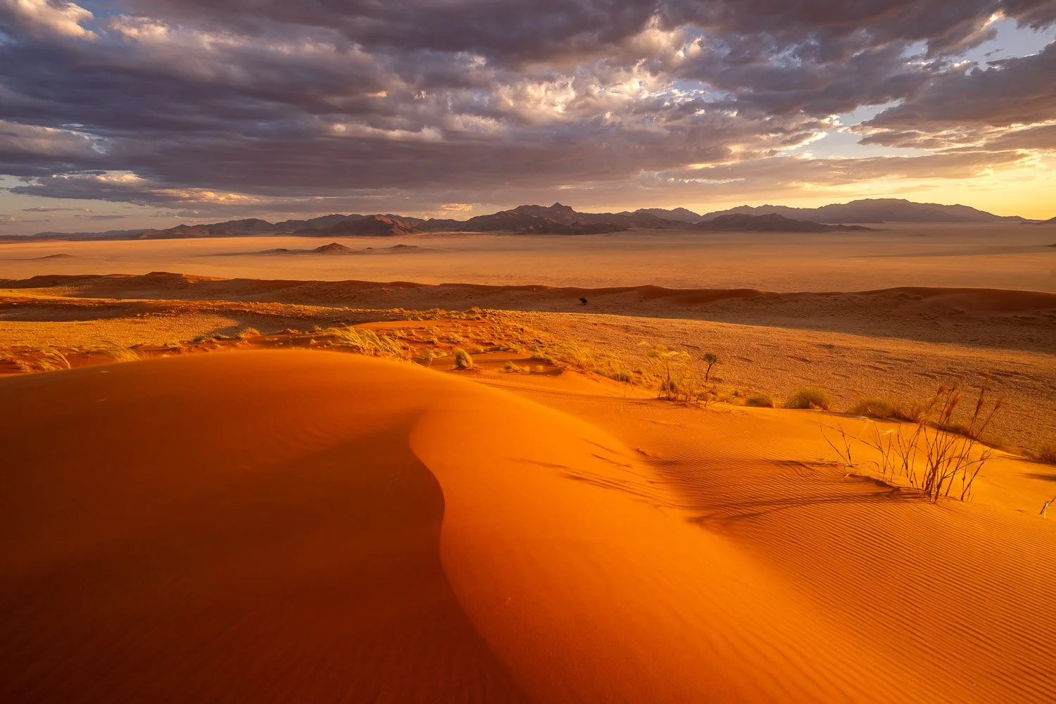 Namibia_StefanForster_2026_8.jpg