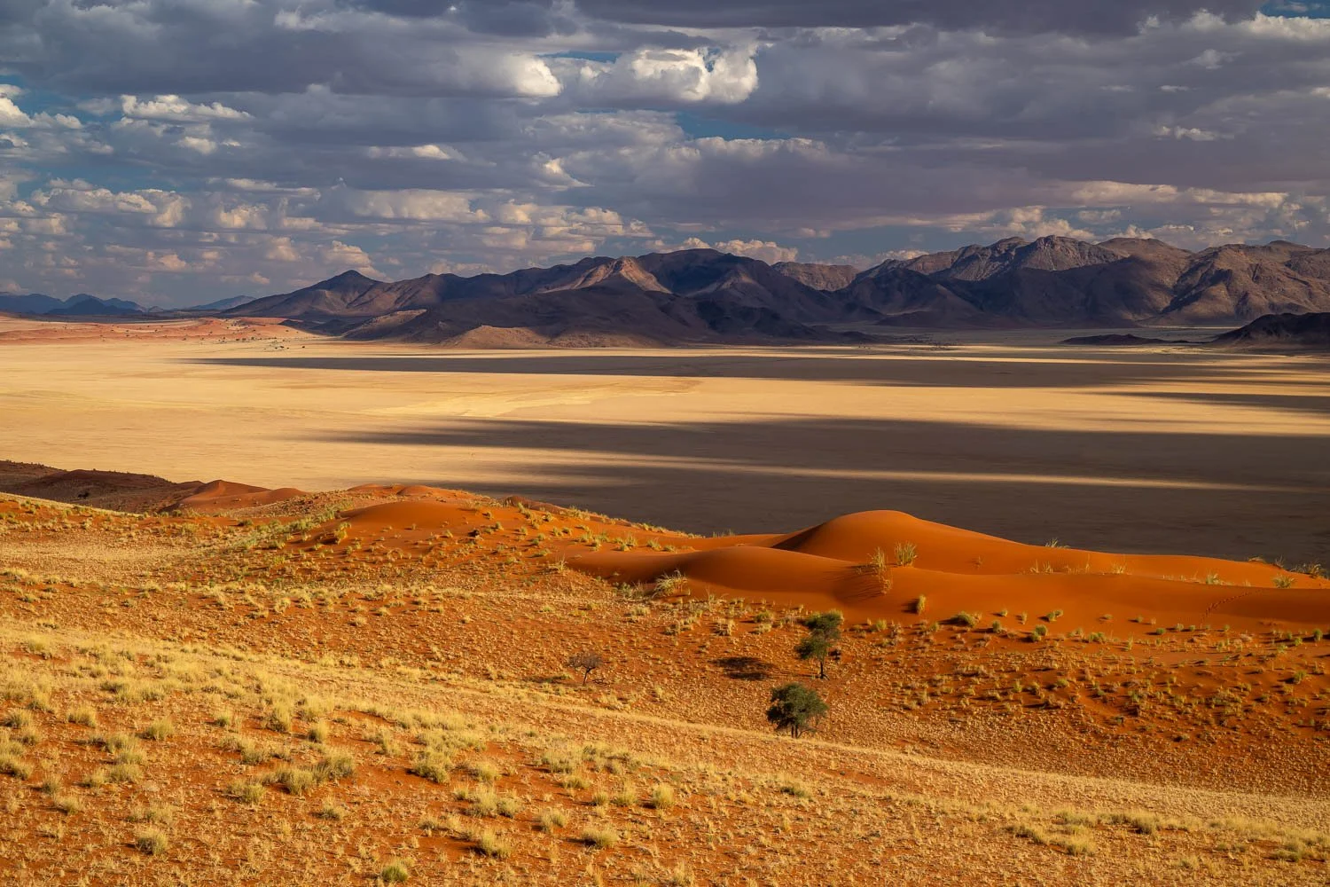 Namibia_StefanForster_2026_3.jpg