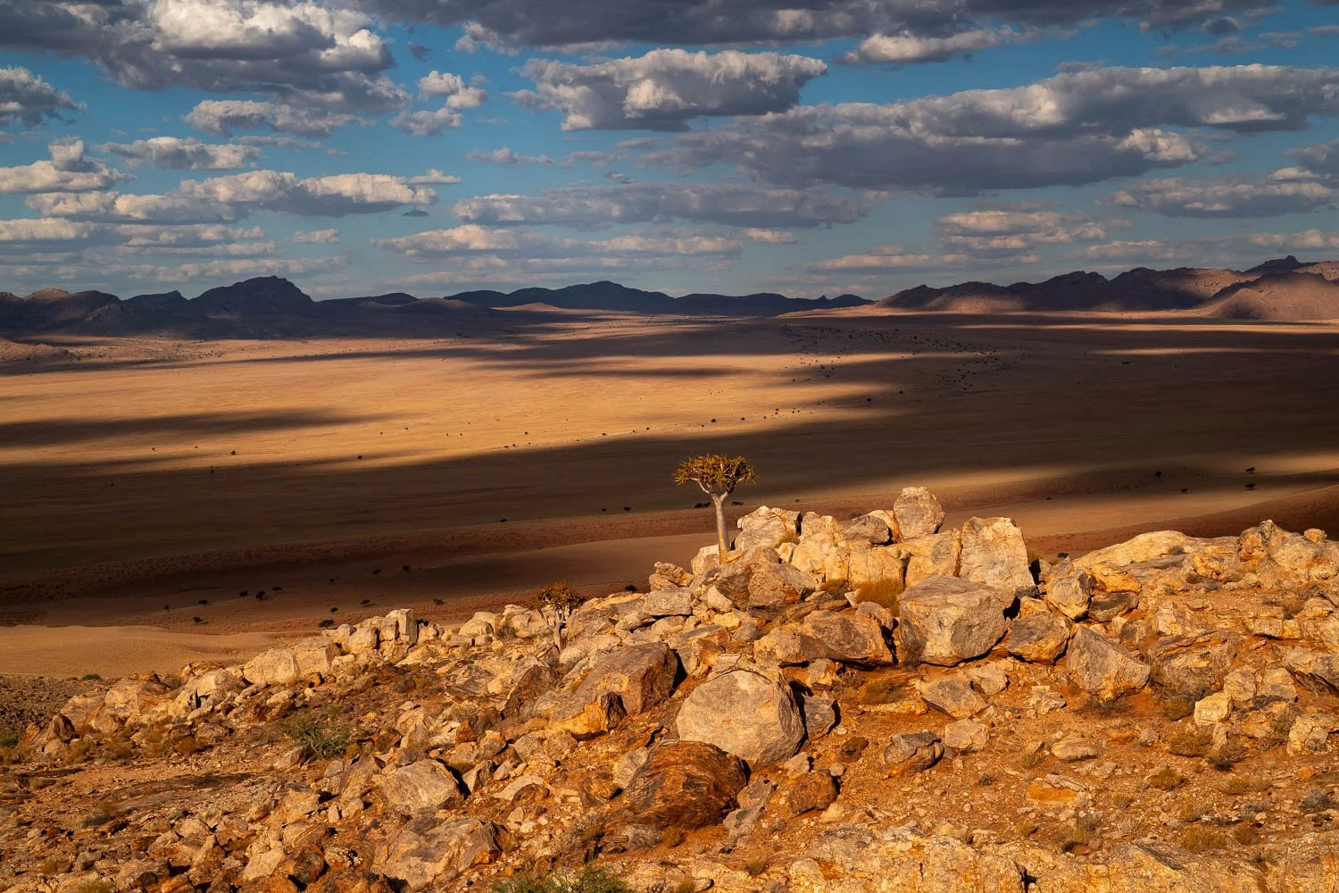 Namibia_StefanForster_2026_1.jpg