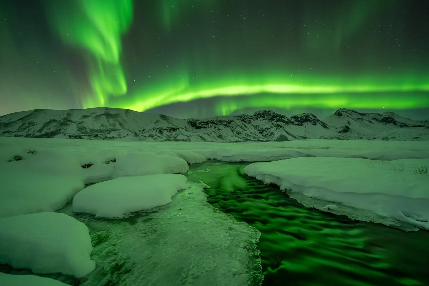 Aurora_StefanForster2026_1.jpg