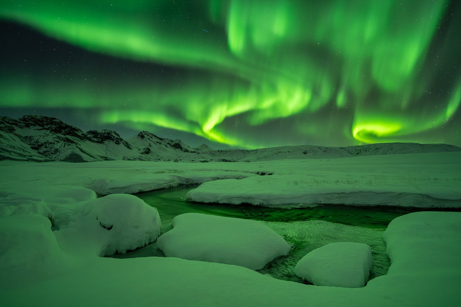 Aurora_StefanForster2026_2.jpg