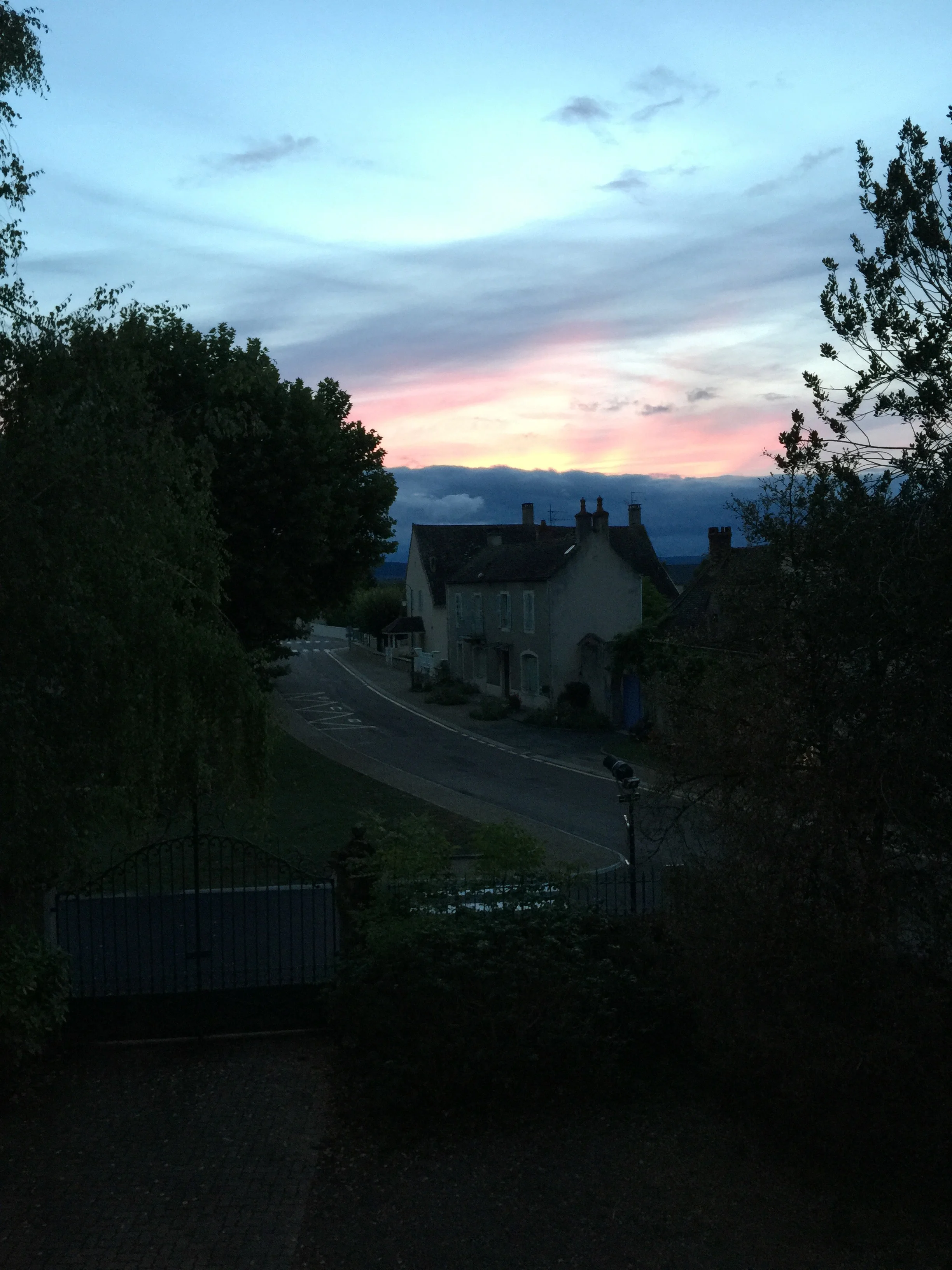 IMG_4947.jpeg