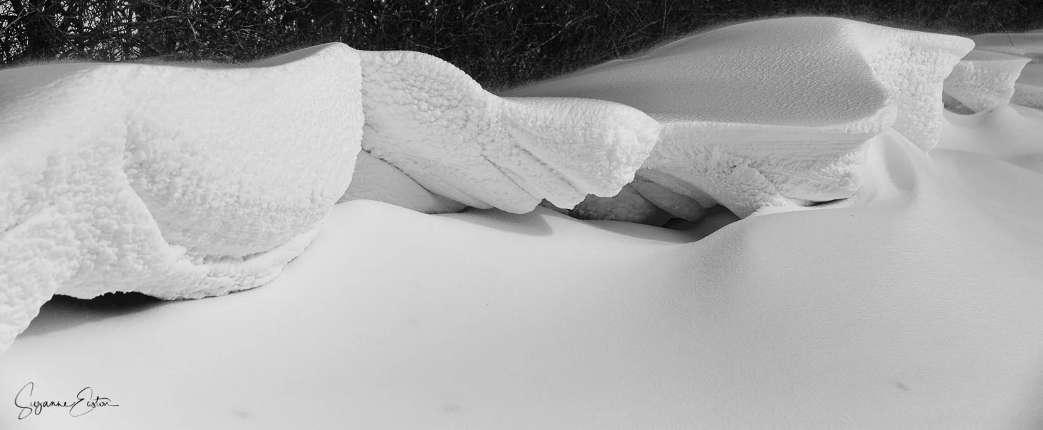 Angel wings in the snow