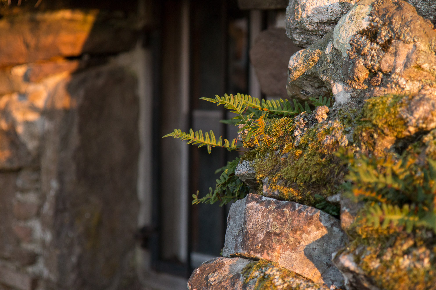 Winter sunset at Culloden