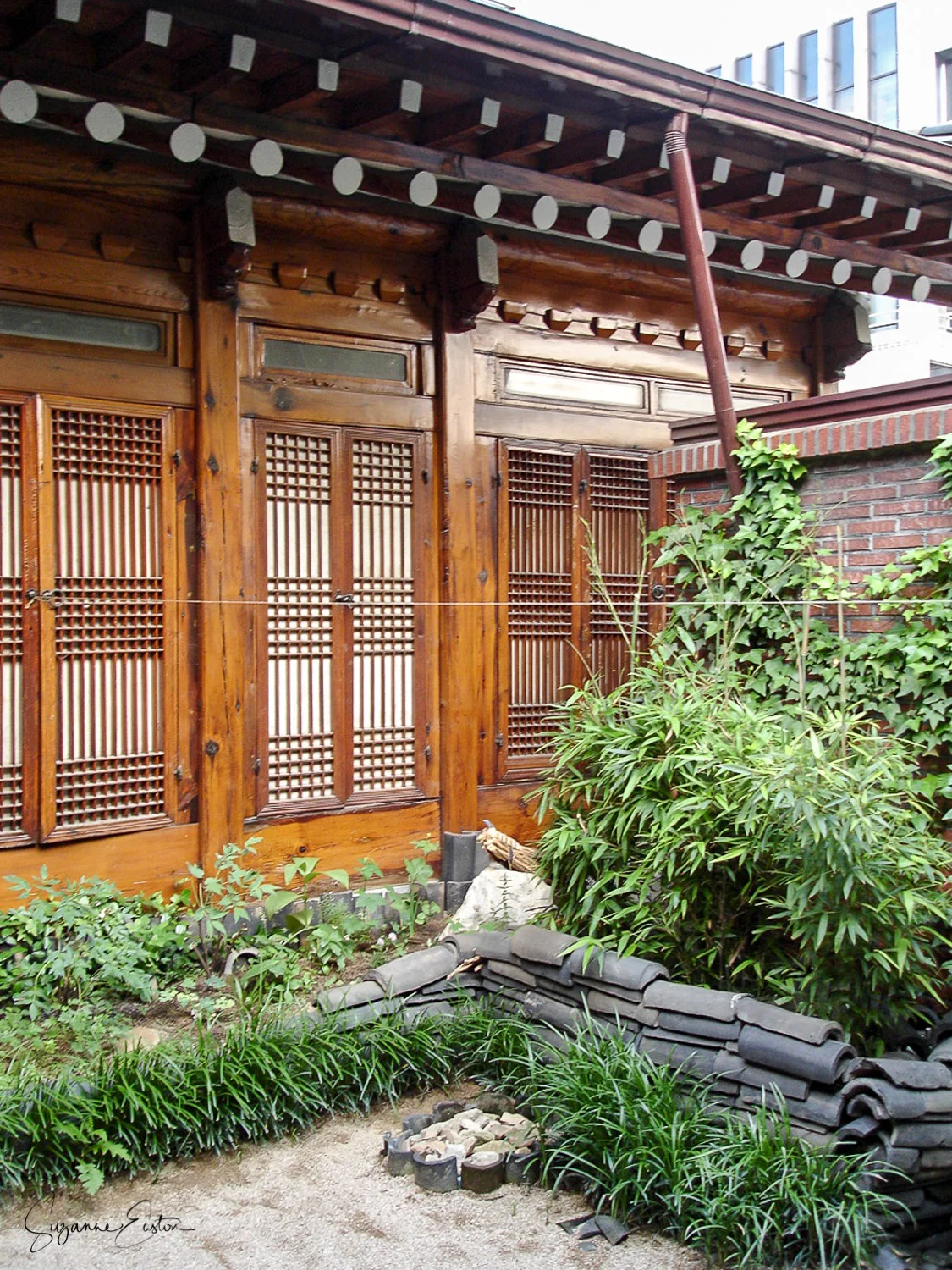 A small garden hidden away in Seoul in South Korea