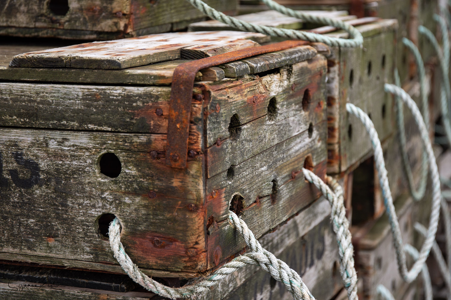 Orkney Fish boxes