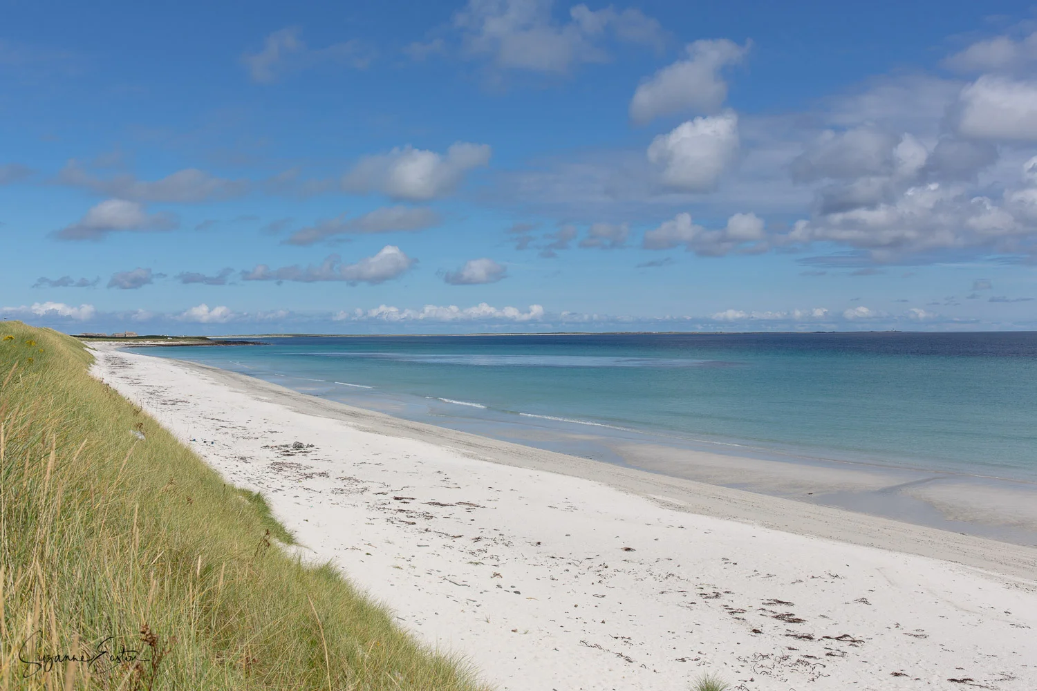 Newark Bay with high sand dunes and white sand