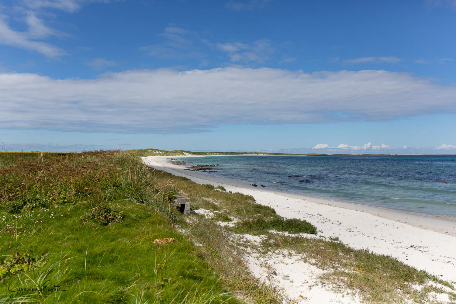 Scuthvie Bay on Sanday has gentle sand dunes