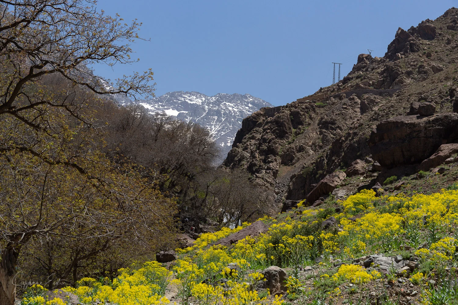 Jebel Toubkal