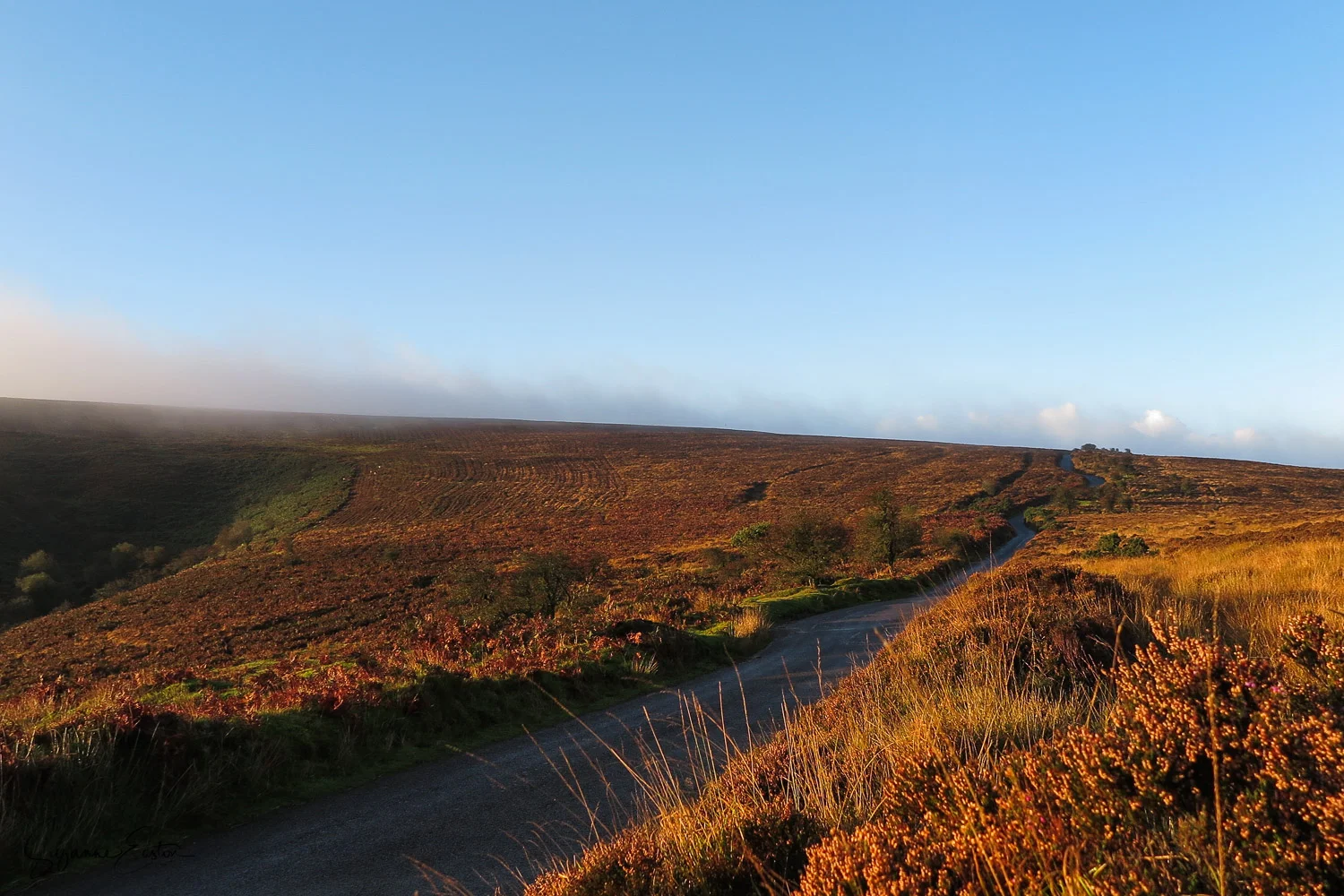 exmoor.jpg