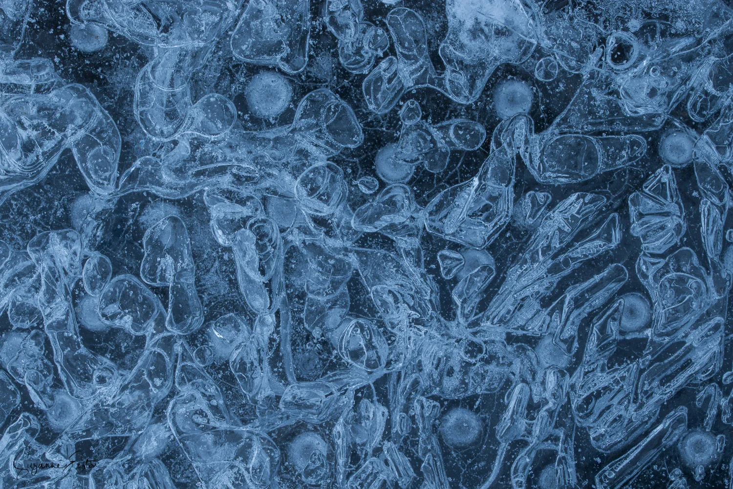 ice bubbles frozen into a lake in Sweden