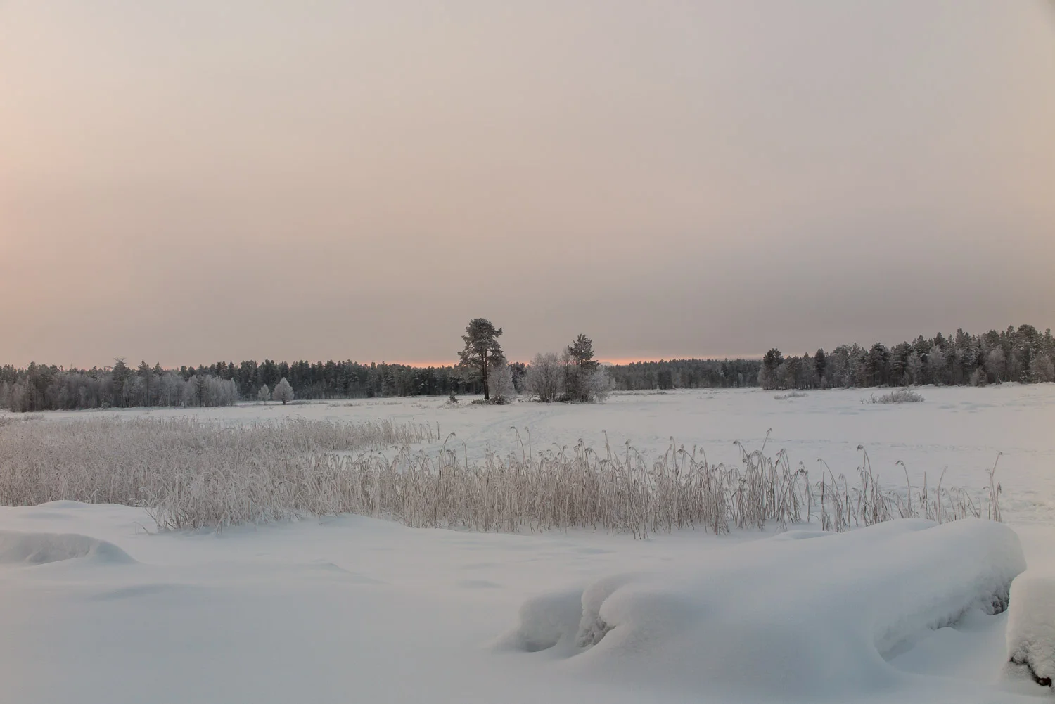 A frozen lake ideal for winter skiing or snowshoeing