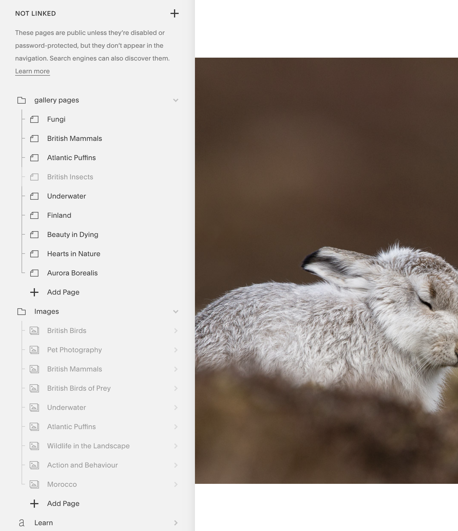 Screenshot 2019-02-03 at 08.12.22.png