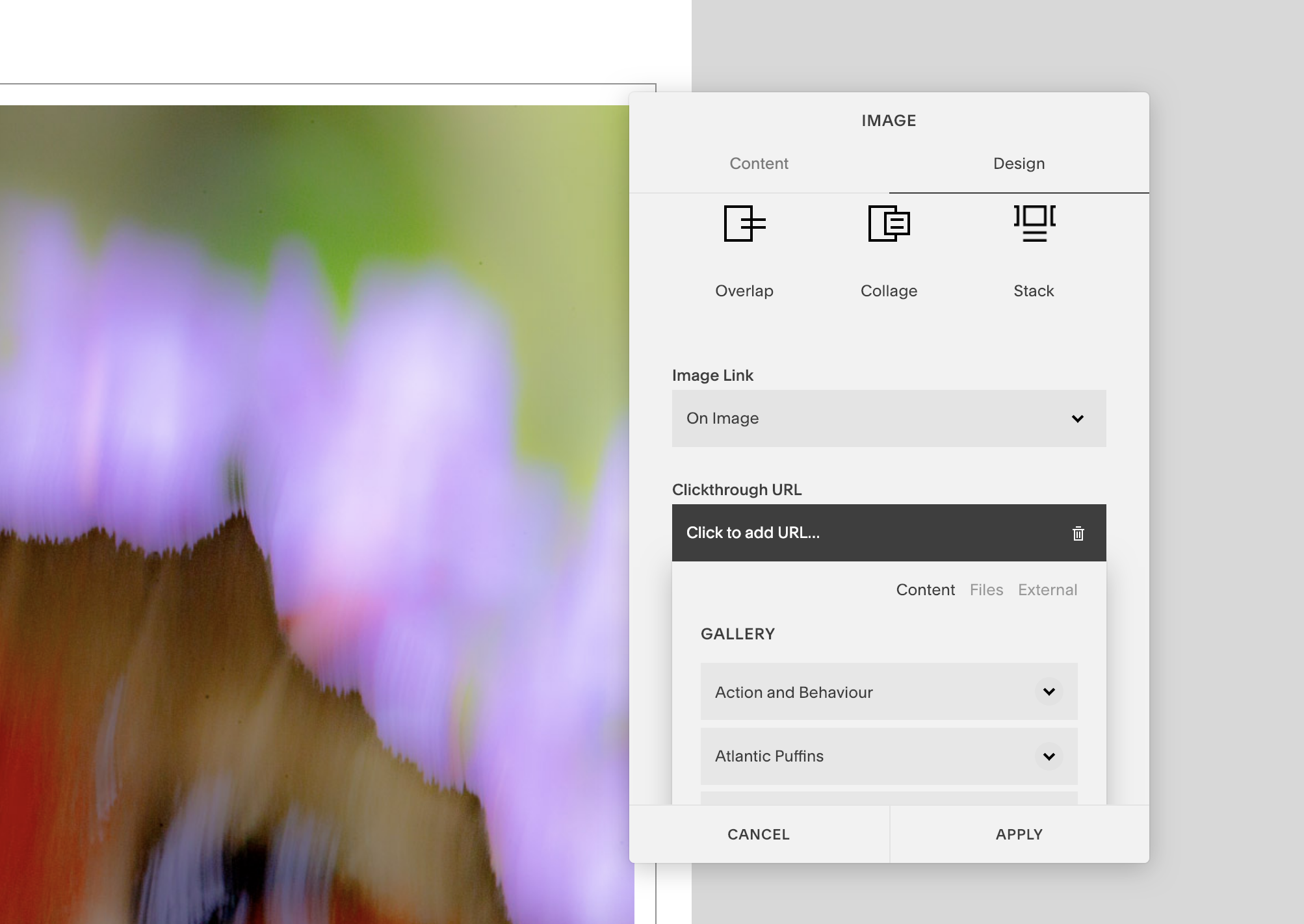 Screenshot 2019-02-03 at 08.20.18.png