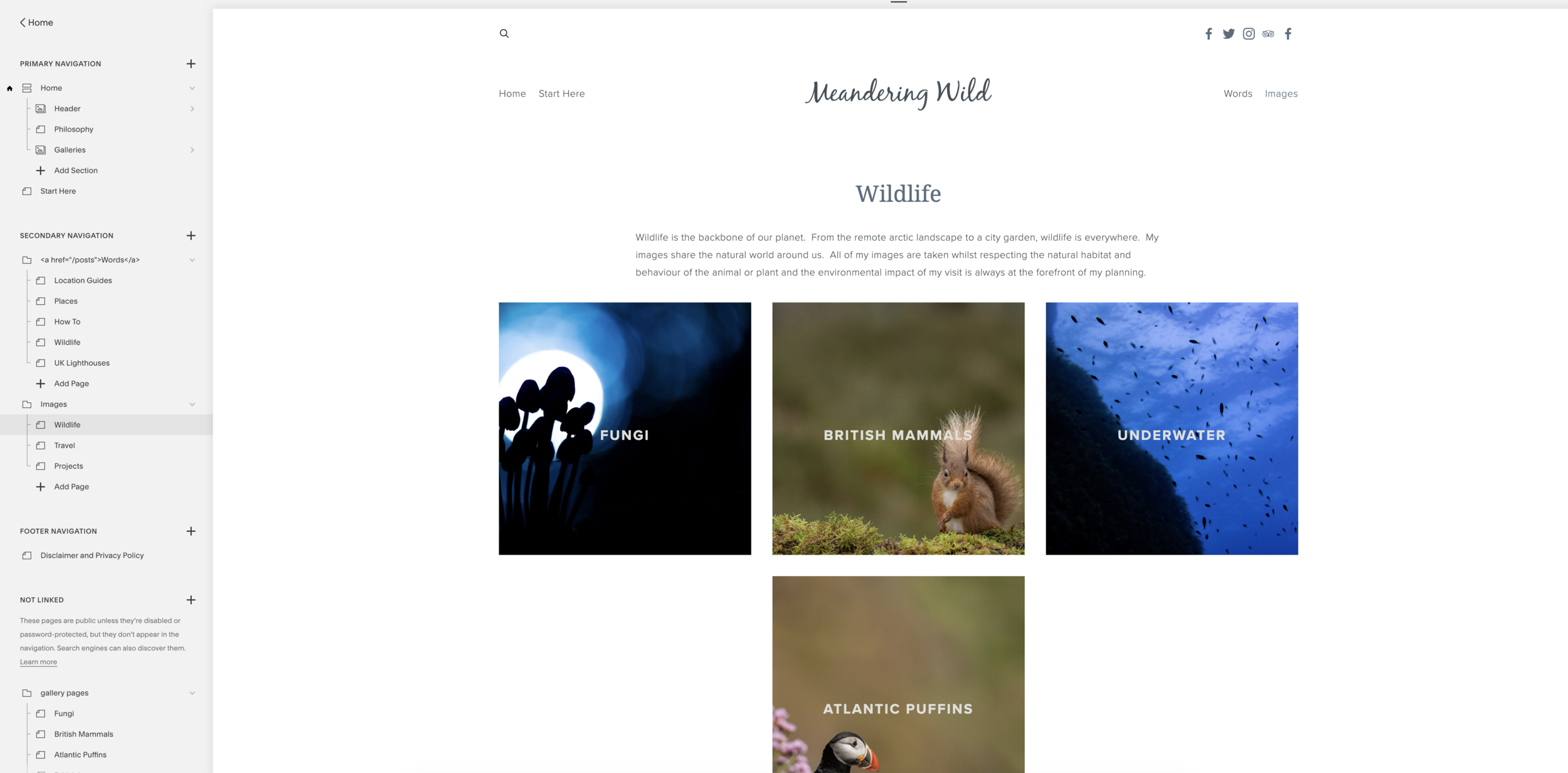 Screenshot 2019-02-03 at 08.12.55.png