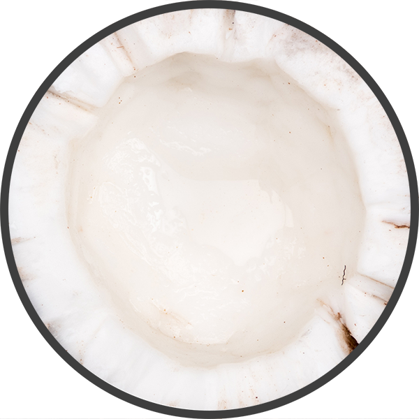 Coconut.png