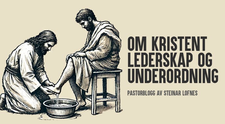 Steinar Lofnes