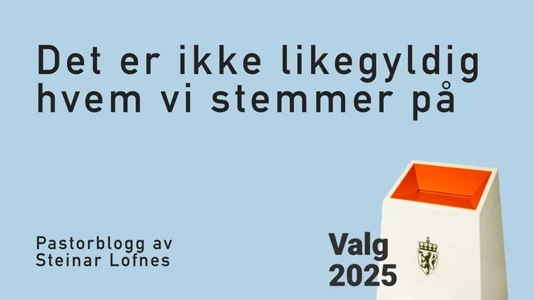 Steinar Lofnes
