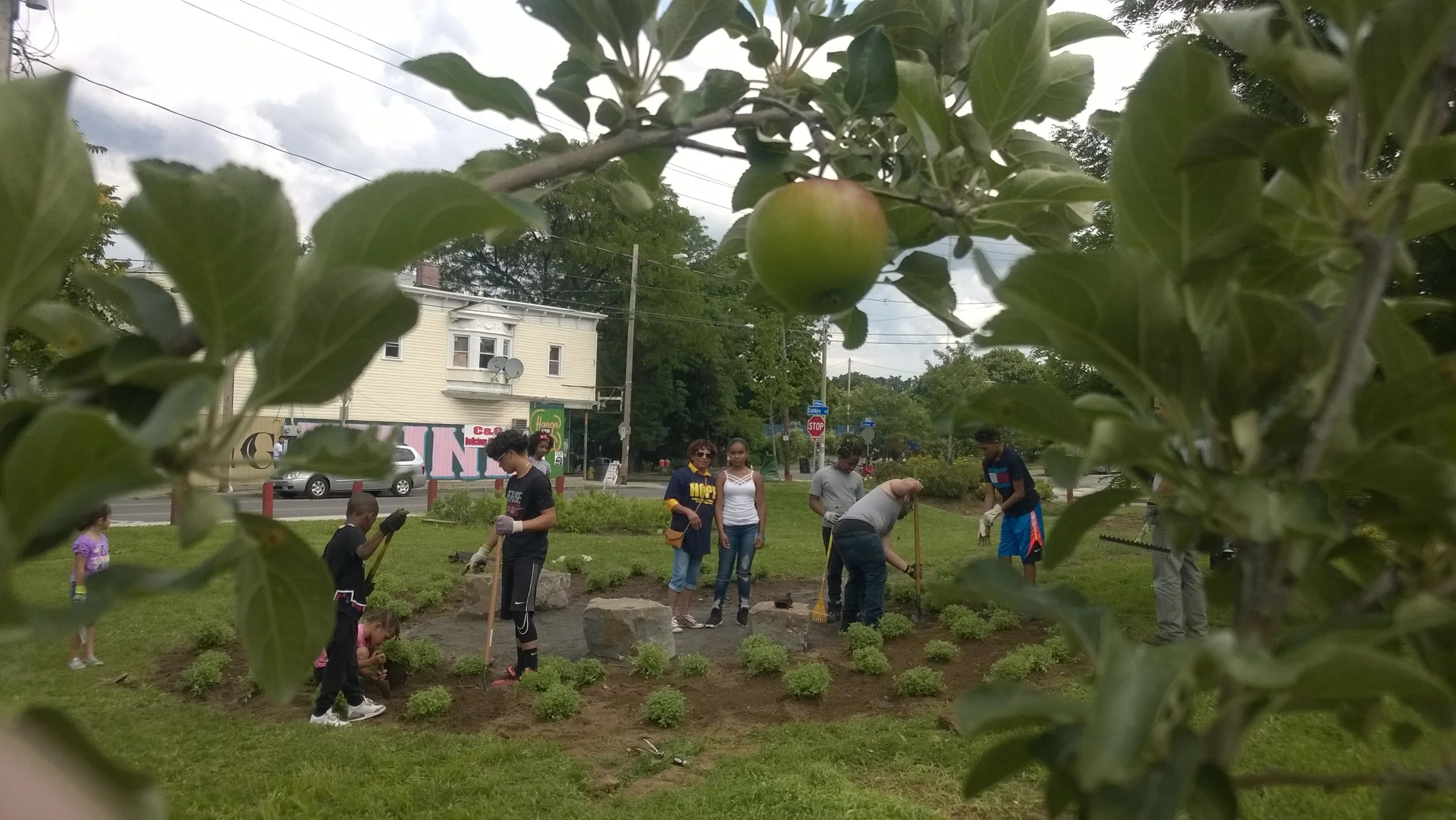 HOPE Fruit taking Root in Conkey 1.jpg