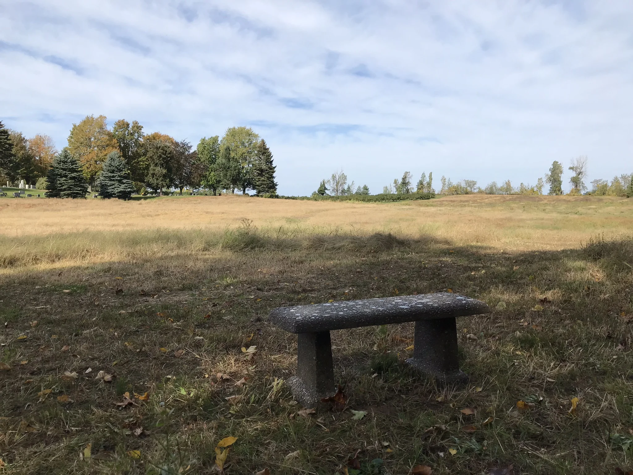 Bench View at Cornwall-KF.jpg