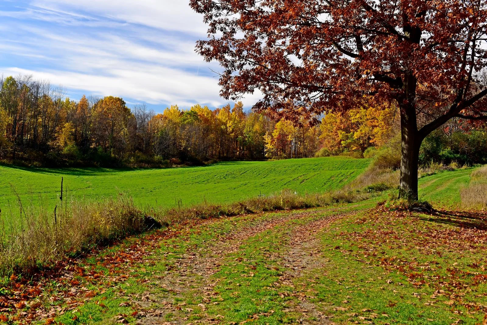Happy Hour Hike: Wild Hill Farm