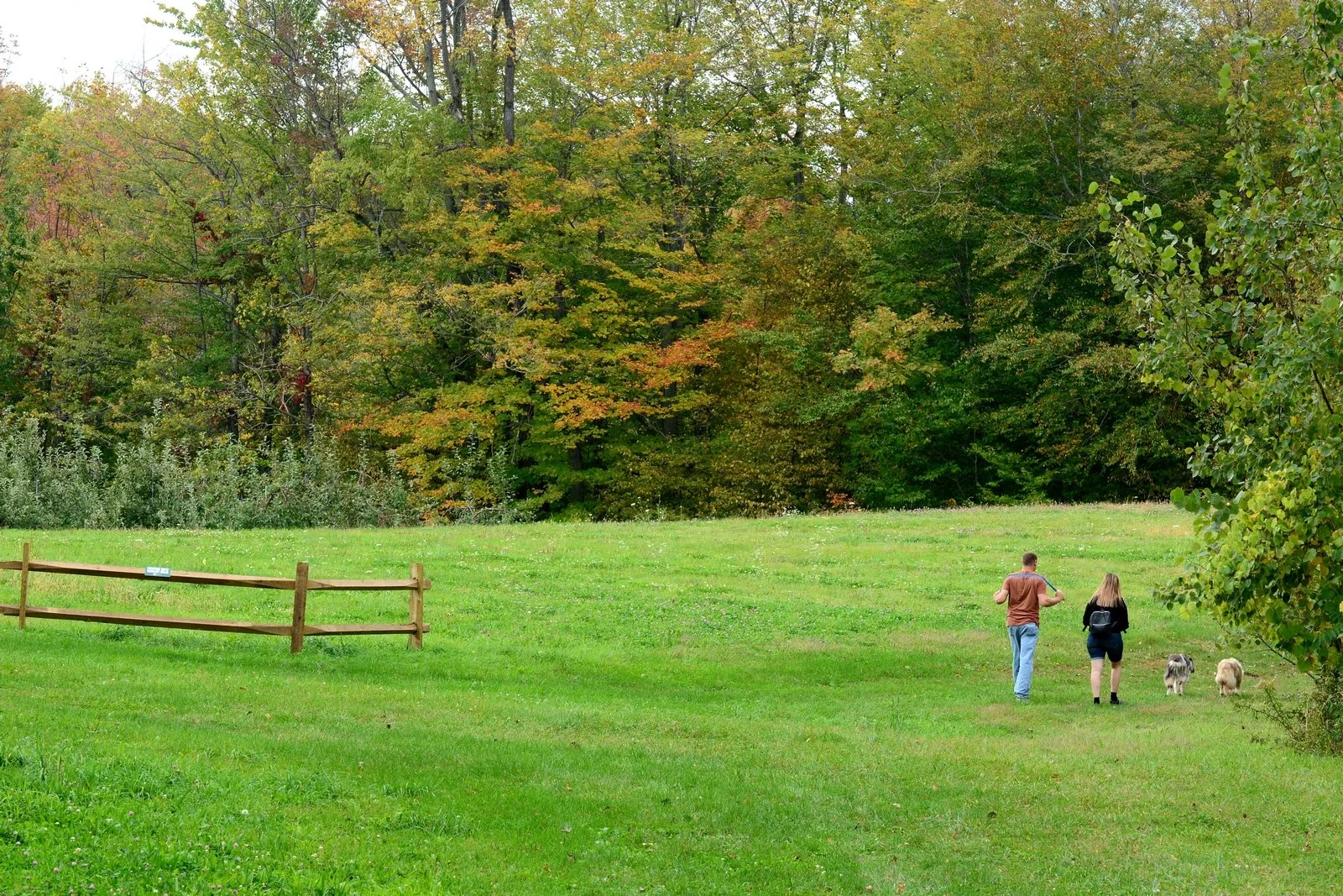 Pultneyville Homecoming Hikes