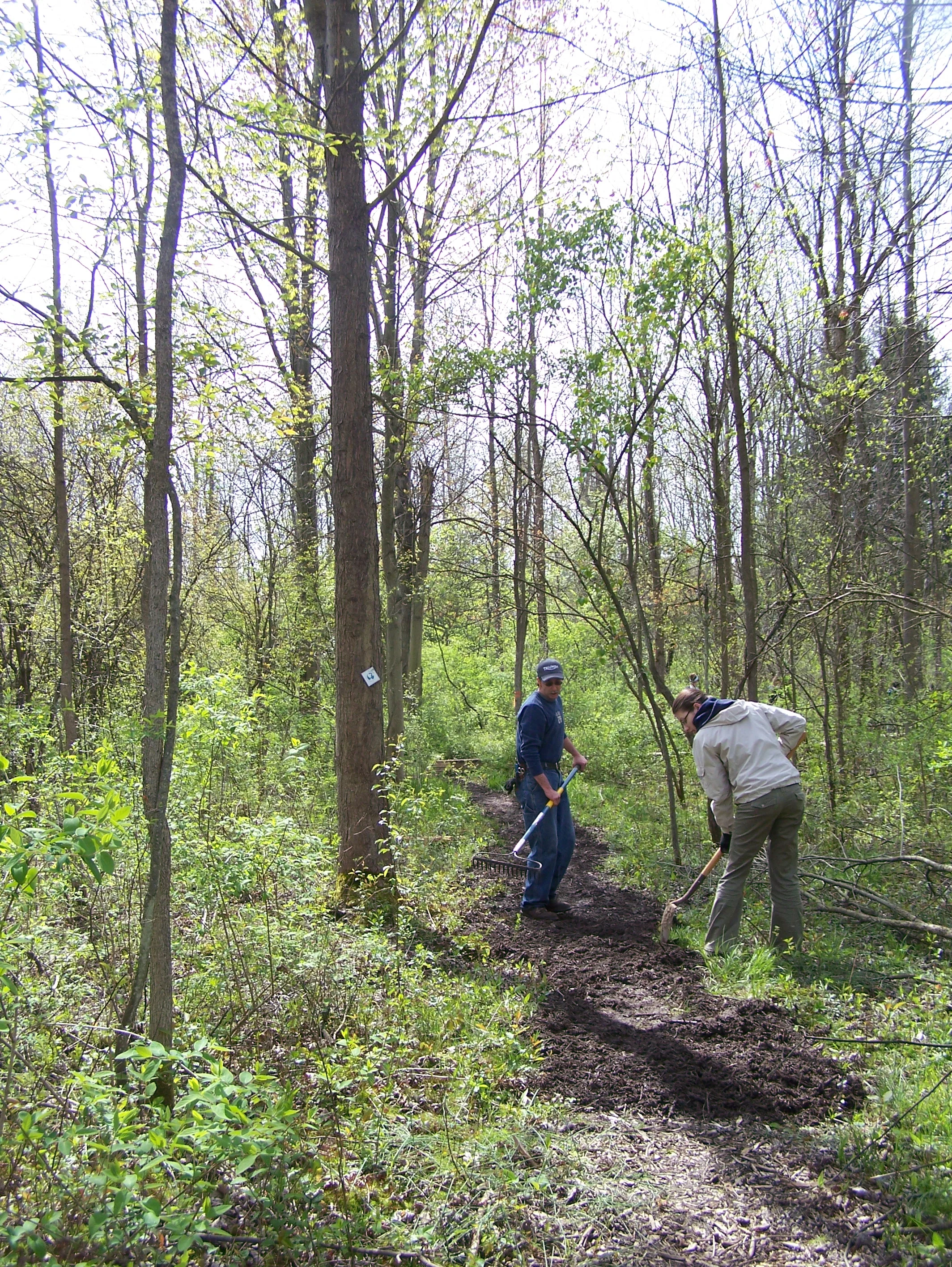Trail Keepers: Brookdale Preserve