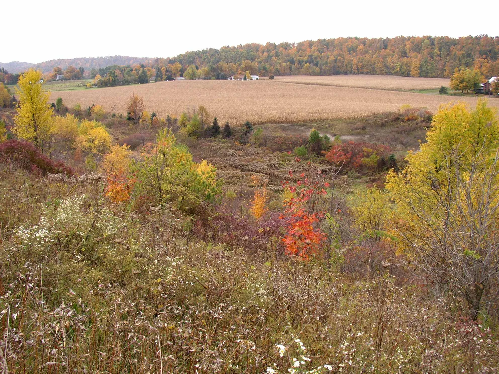Sanctuary at Crowfield Farm