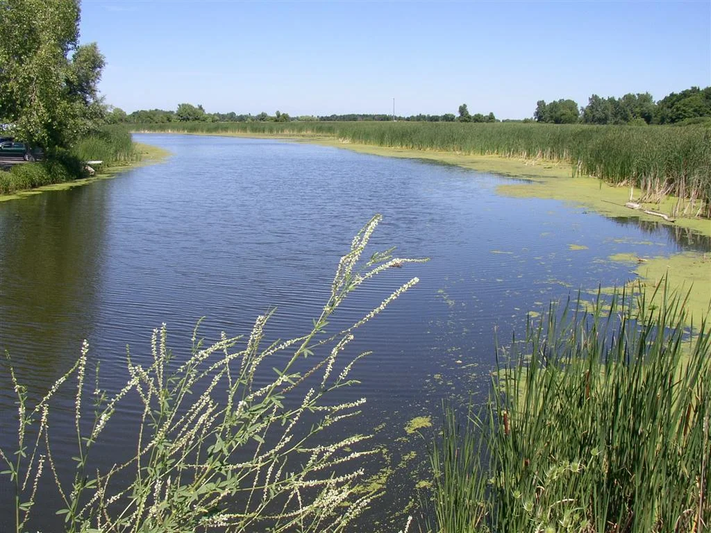 Salmon Creek Wetlands