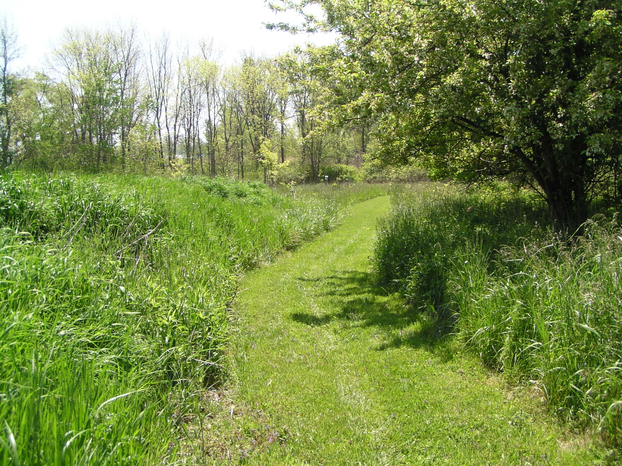 Manitou Beach Preserve