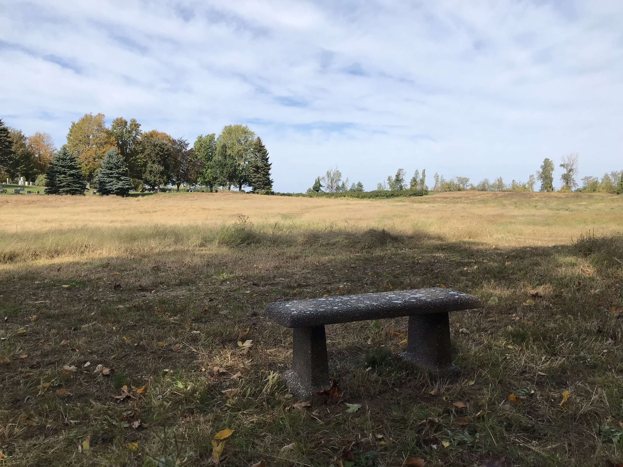 Bench View at Cornwall.jpg