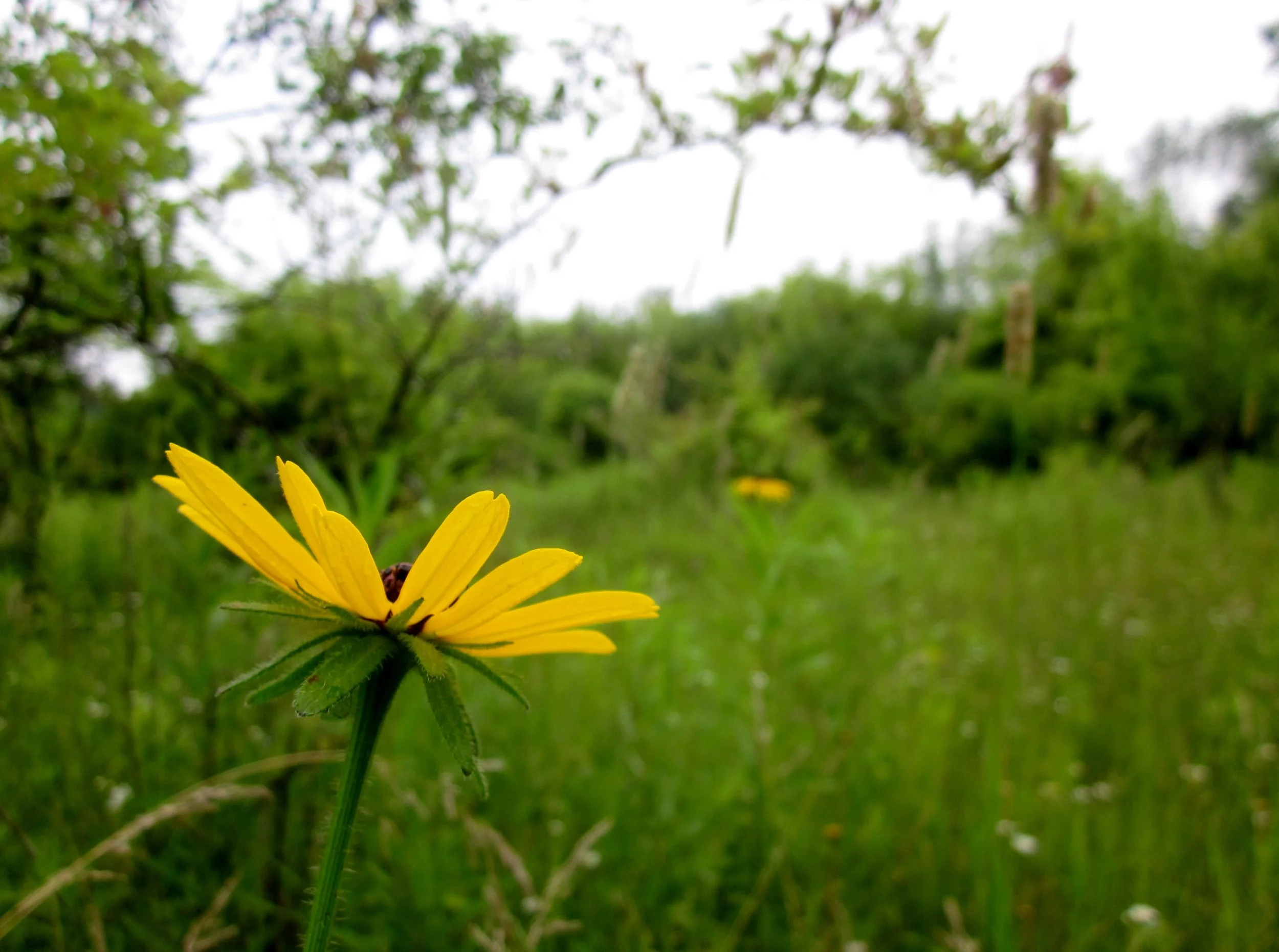 Castle Road Wildlife Sanctuary